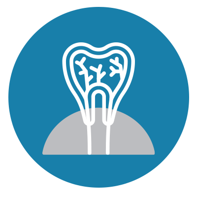 Endodontics Icon